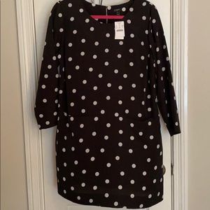 NWT J Crew polka dot dress size 10